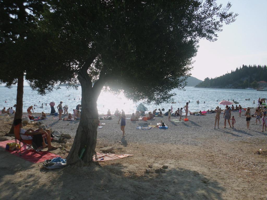 Apartmán Petar Blace