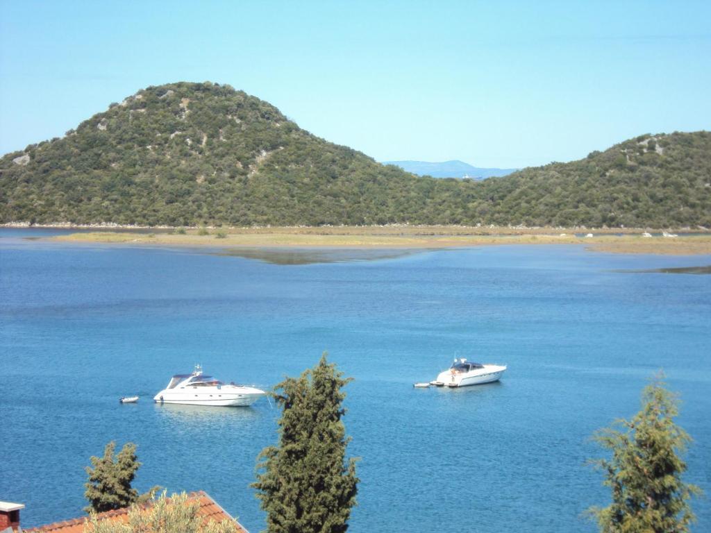 Petar Apartmán Blace